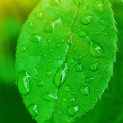 开元ky888棋牌2.3.7版